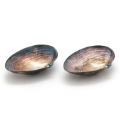 PAIR OF SILVER-PLATED CLAM SHE