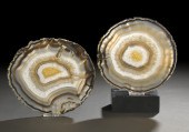 Pair of Sliced and Polished Ag