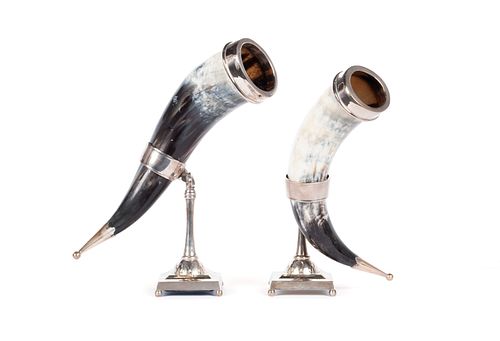 PAIR OF STEER HORN