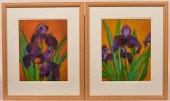 PAIR OF SUK SHUGLIE IRIS STILL