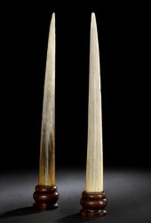 Pair of Swordfish Rostra,  eac
