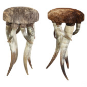 PAIR OF TEXAS LONGHORN COWHIDE