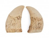 * PAIR OF UNENGRAVED WHALE'S T