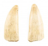 * PAIR OF UNENGRAVED WHALE'S T