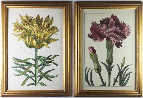 PAIR OF VINTAGE OVERSIZED BOTANICAL