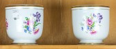 PAIR OF VISTA ALLEGRA PORCELAI