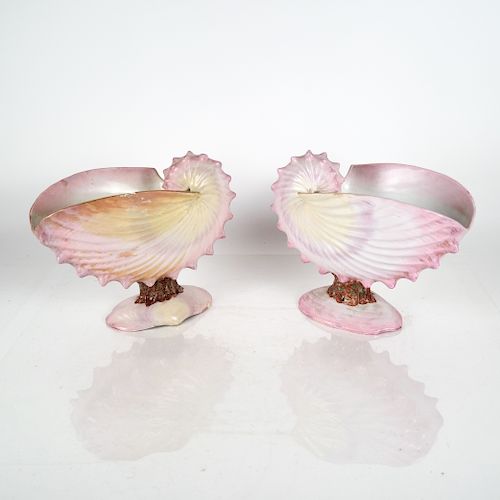 PAIR OF WEDGWOOD NAUTILUS MANTEL