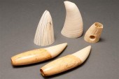 Pair of whale teeth, two assor