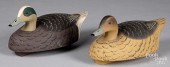 PAIR OF WIDGEON GREEN WING TEA