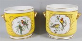 PAIR OF YELLOW GROUND CACHEPOT
