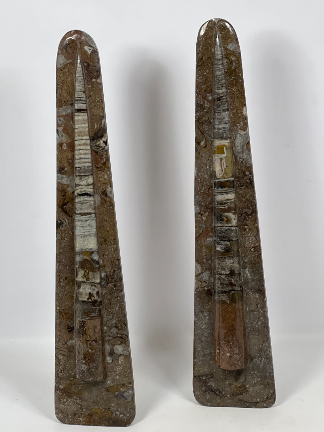 Pair Orthoceras Pyramid Sculptures.