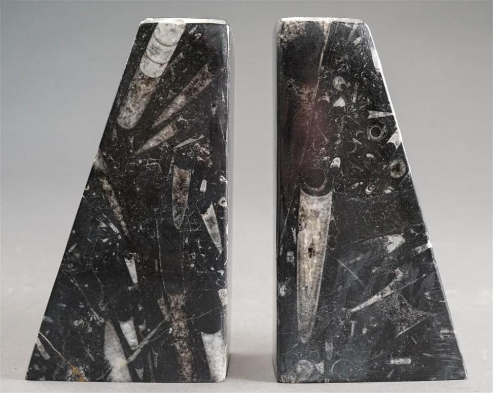PAIR POLISHED FOSSILIZED ORTHOCERAS