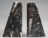 PAIR POLISHED FOSSILIZED ORTHO