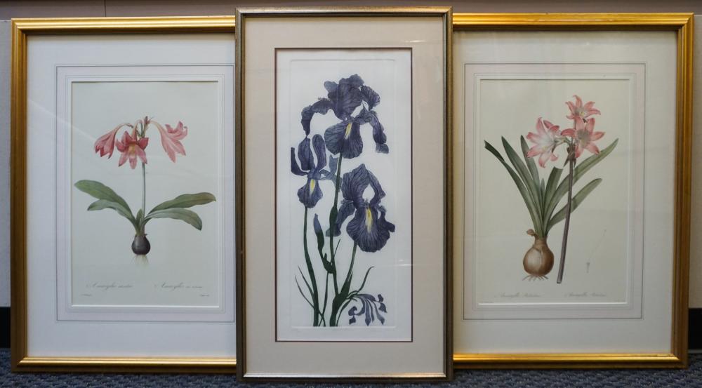 PAIR REPRODUCTION BOTANICAL COLOR