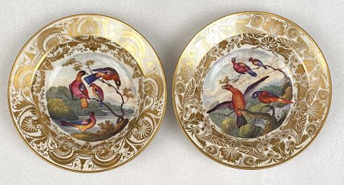 PAIR ROYAL CROWN DERBY