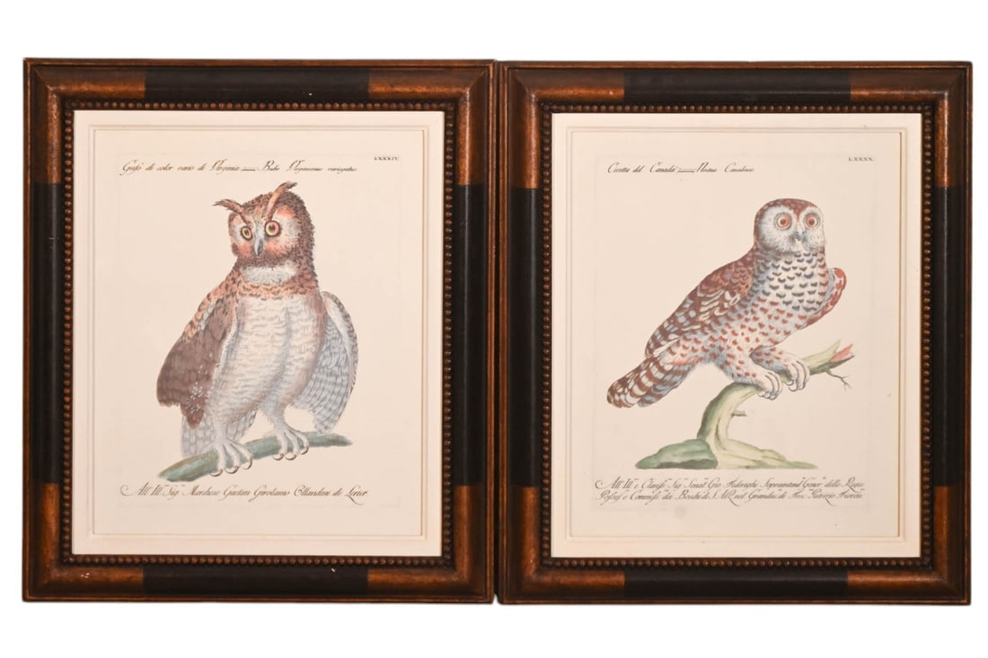 PAIR SAVERIO MANETTI HAND COLORED