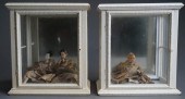 PAIR SHADOW BOX DISPLAY DIORAM