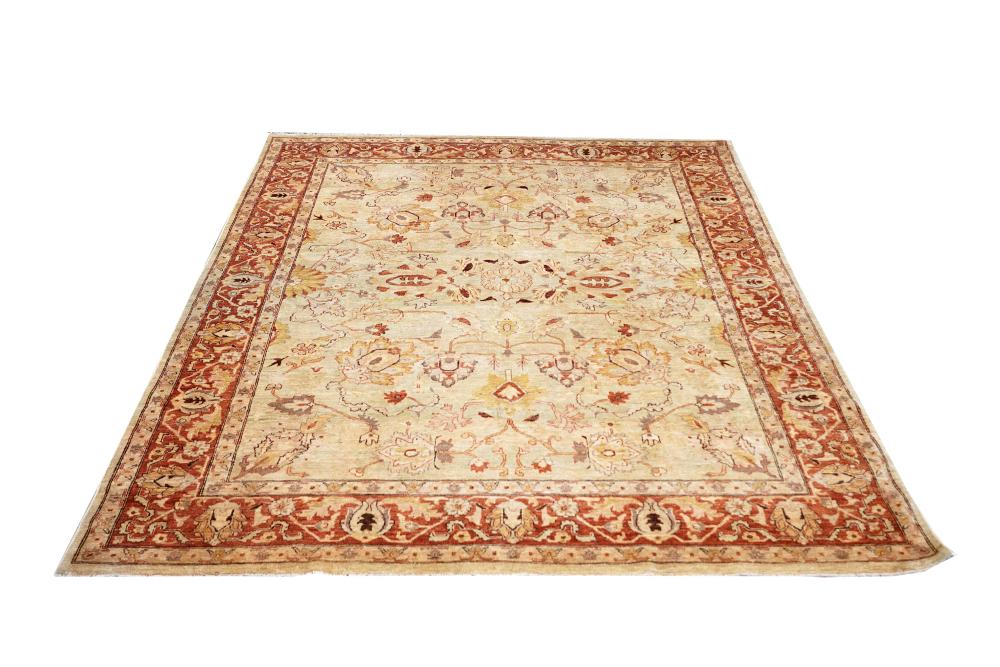 PAKISTANI BEIGE FIELD
