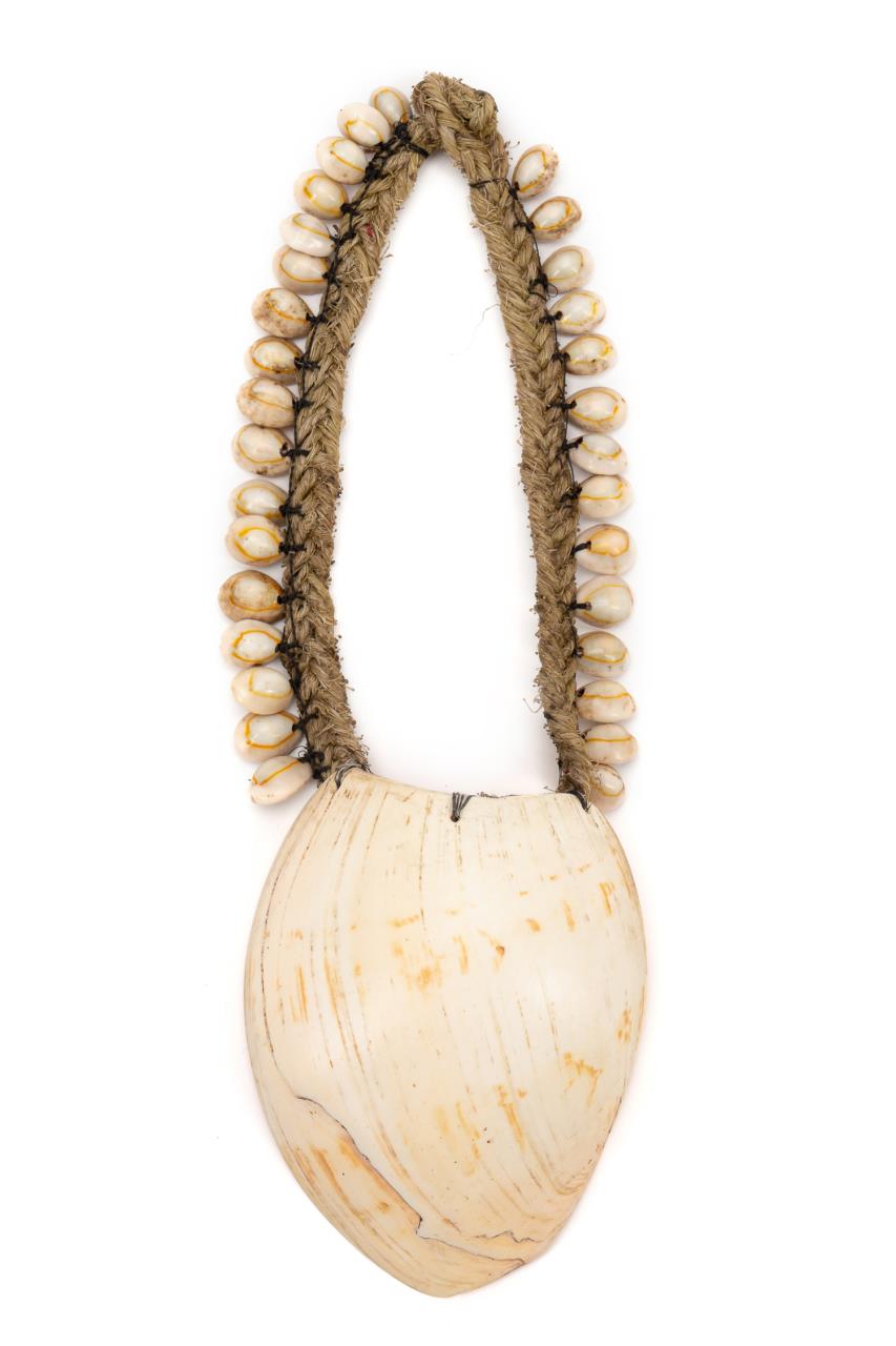 PAPUA NEW GUINEA BAILER SHELL