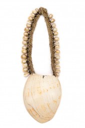 PAPUA NEW GUINEA BAILER SHELL