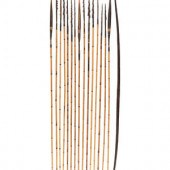 Papuan New Guinea Bow and Arro