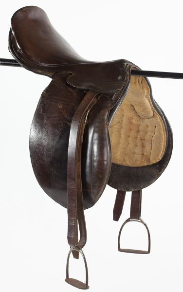 Park Style Saddlelady's English