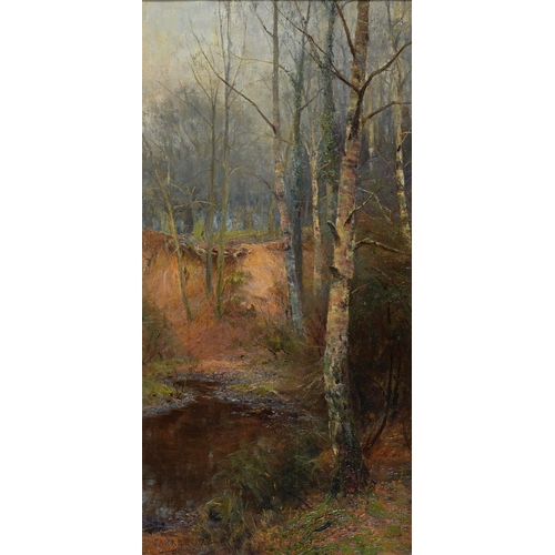 Parker Hagarty (Canadian artist,