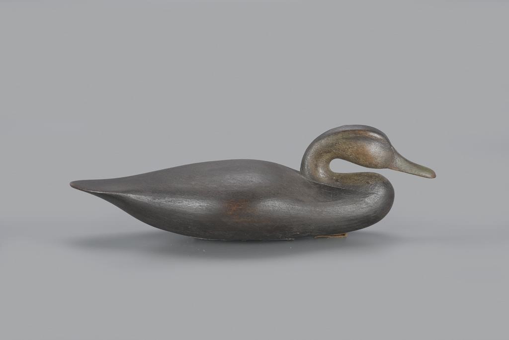 PARKER'S ISLAND BLACK DUCKMark