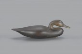 PARKER'S ISLAND BLACK DUCKMark