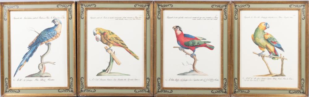 PARROTS, PRINTS, SIGHT: 15 1/2 X 11