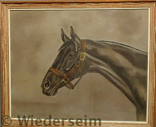 Pastel equine portrait signed