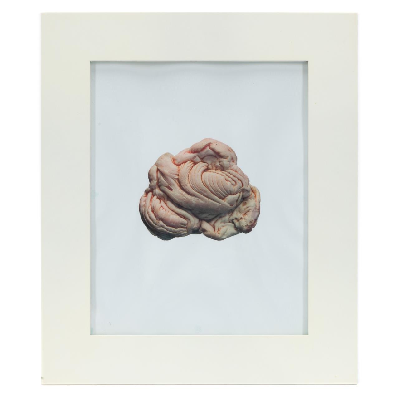 PAT LONGOBARDI, "DRIFTER OBJECT