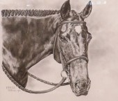 Pat Wozniak 'Bernie' Horse Ori