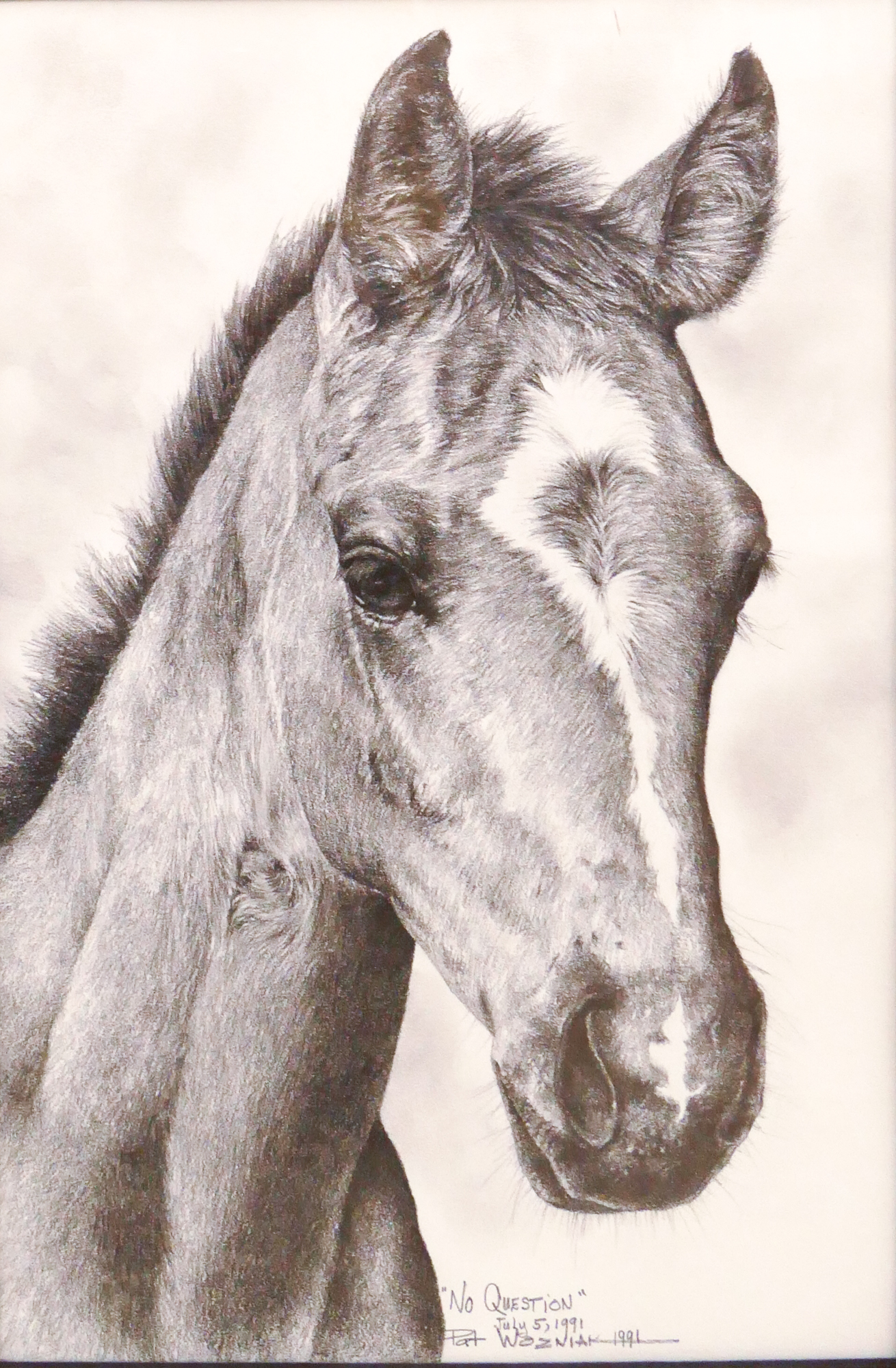 Pat Wozniak 'No Question' Horse