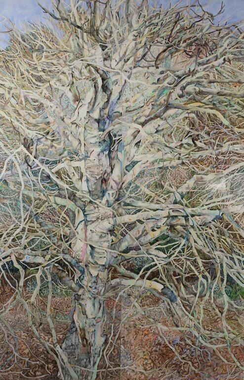 PATRICIA FORESTER WATERCOLOR