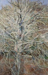 PATRICIA FORESTER WATERCOLOR S