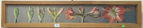 PATRICIA HOPE WINDROW (AMERICAN,