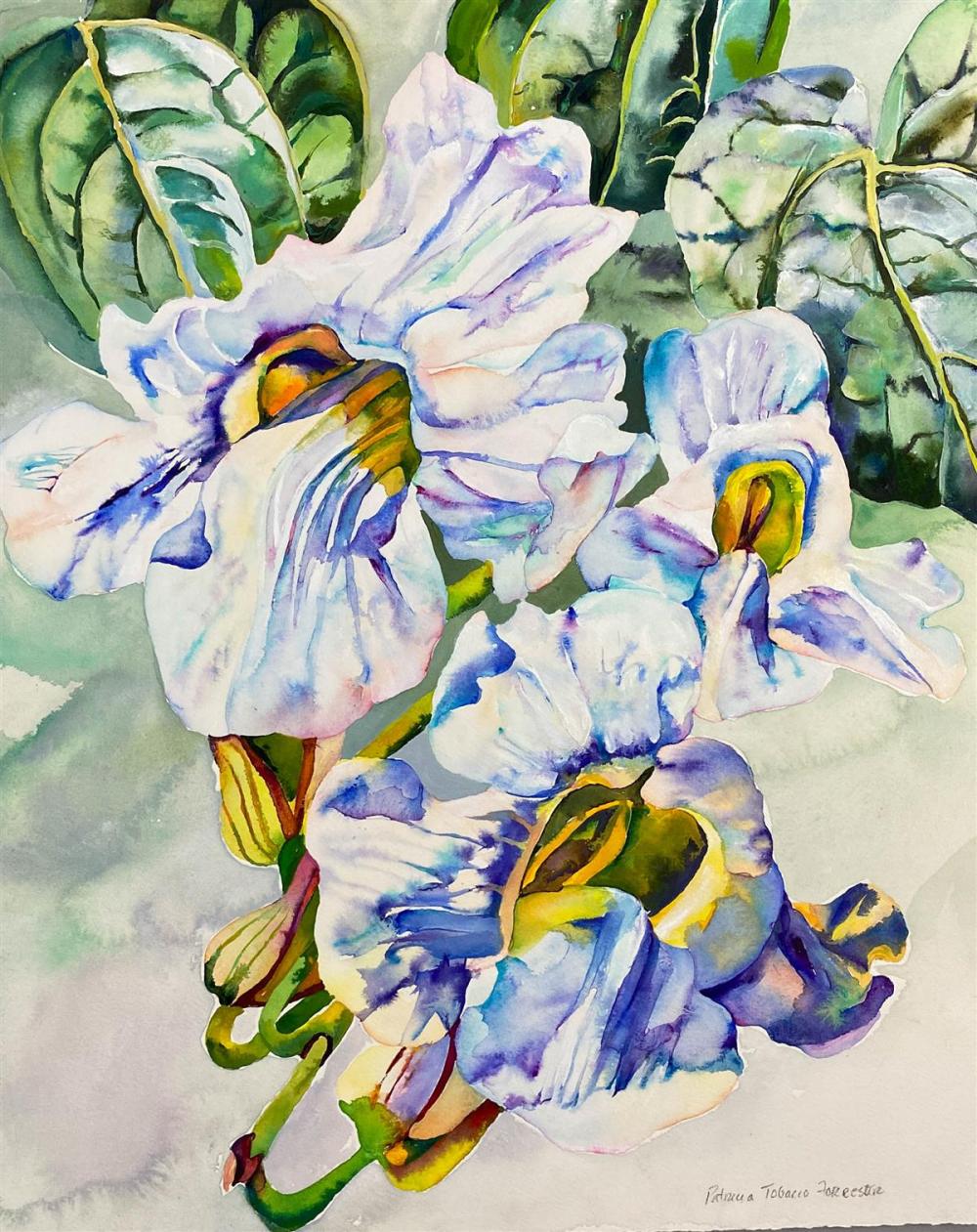 PATRICIA TOBACCO FORRESTER
