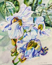 PATRICIA TOBACCO FORRESTER (AM