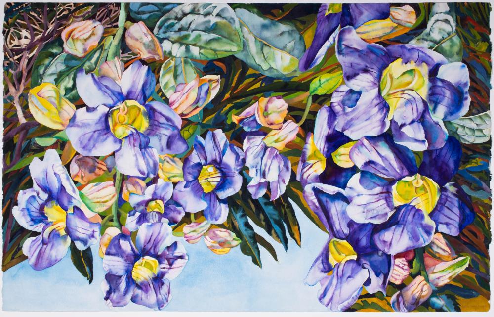 PATRICIA TOBACCO FORRESTER AMERICAN