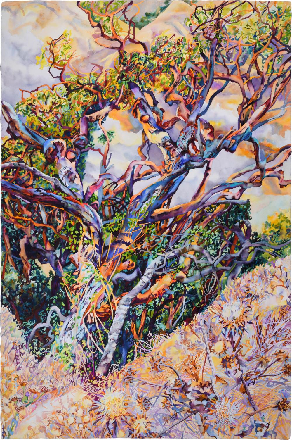 PATRICIA TOBACCO FORRESTER,