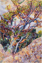 PATRICIA TOBACCO FORRESTER, AM
