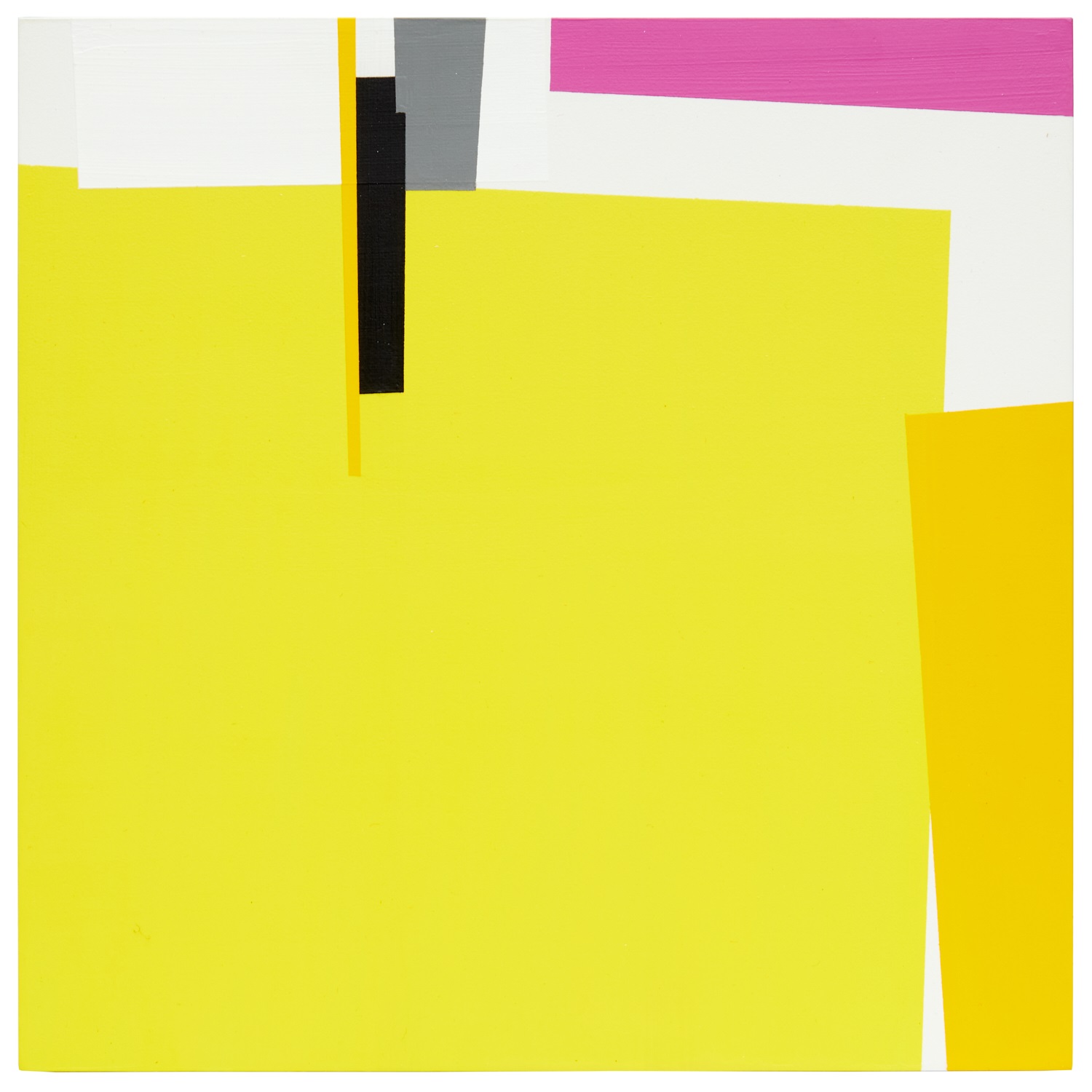 PATRICIA VAN DALEN, ABSTRACT