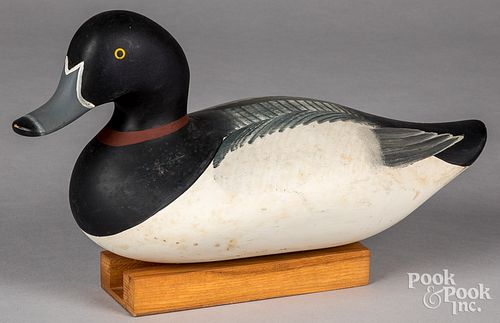 PATRICK VINCENTI RINGNECK DUCK