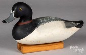 PATRICK VINCENTI RINGNECK DUCK