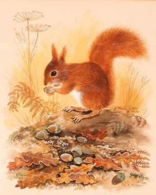 Paul A Nicholas (British
