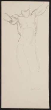 PAUL CADMUS MALE TORSO GRAPHIT