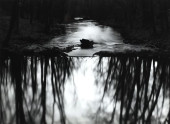 PAUL CAPONIGRO (1932-2024) &#0