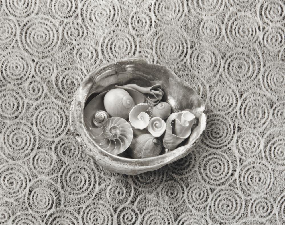 PAUL CAPONIGRO, (AMERICAN, B.