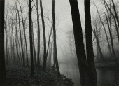 PAUL CAPONIGRO (AMERICAN B. 19